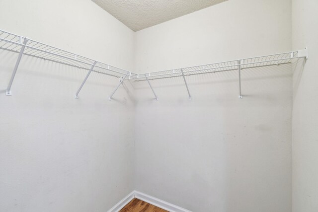 spacious closet featuring hardwood / wood-style floors