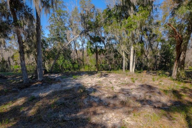 Listing photo 2 for 0 Ridgeline Ave, Satsuma FL 32189