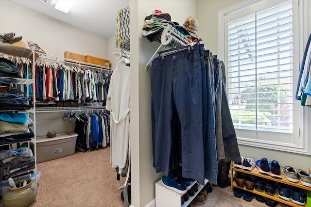 walk in closet with carpet