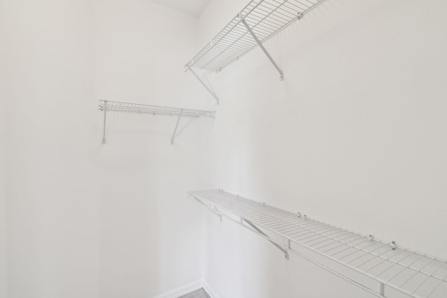 581 Boxwood Pl, Saint Augustine, FL 32086 - view of spacious closet