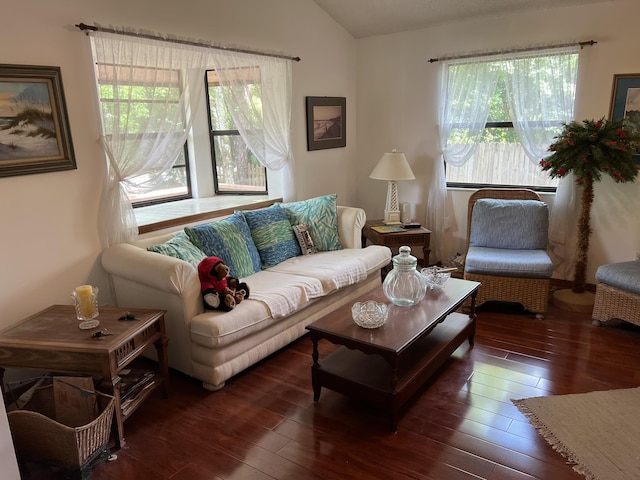 living room featuring a wealth of natural light, dark hardwood / wood-style flooring, and lofted ceiling