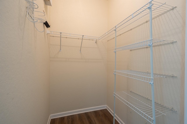 spacious closet with dark wood-type flooring