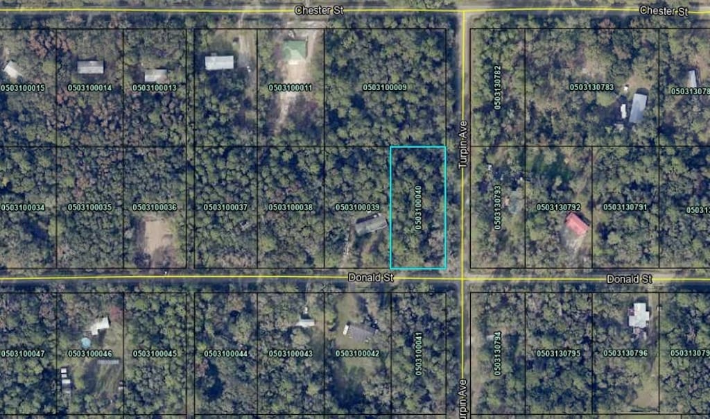 9715 Turpin Ave, Hastings, FL 32145