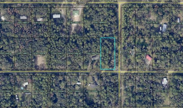 9715 Turpin Ave, Hastings, FL 32145
