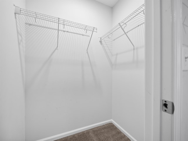 walk in closet with carpet