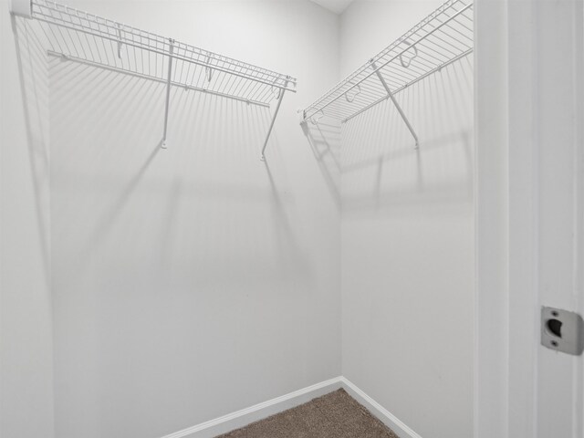 spacious closet with carpet flooring