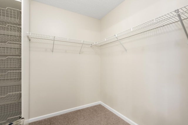 spacious closet with carpet flooring