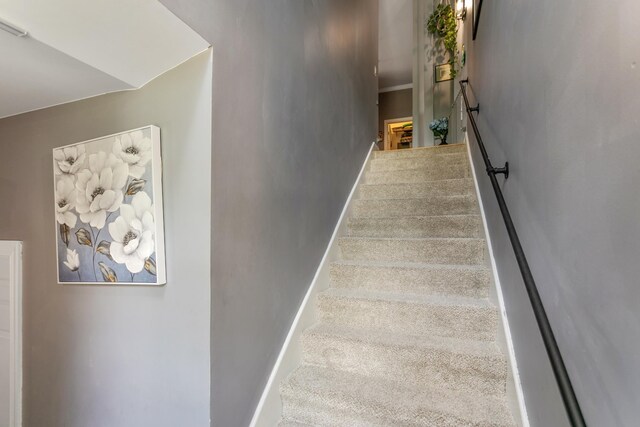 stairway featuring carpet flooring