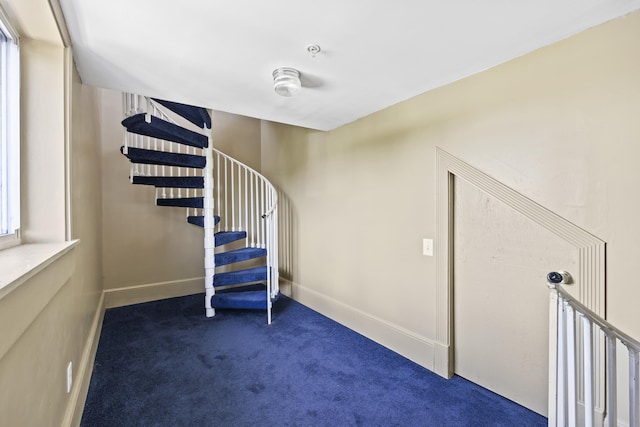 staircase featuring carpet floors