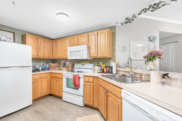 kitchen with a textured ceiling, light hardwood / wood-style floors, white appliances, and sink