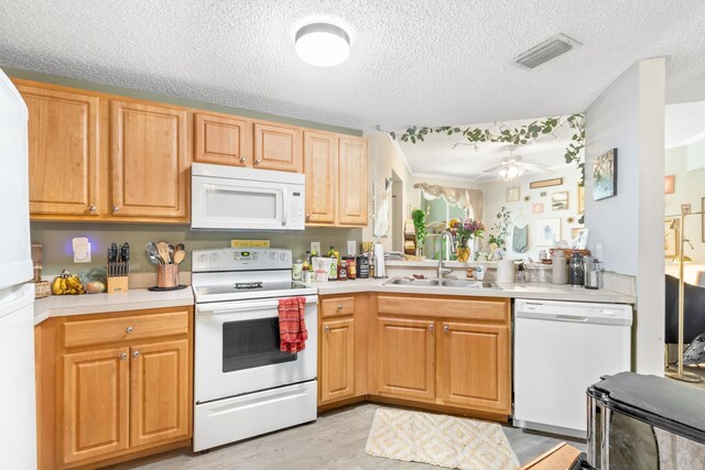 kitchen featuring ceiling fan, sink, light hardwood / wood-style flooring, a textured ceiling, and white appliances