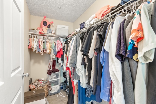 walk in closet with wood-type flooring