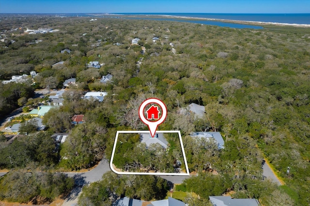 1440 Corunna St, Saint Augustine, FL 32080 - drone / aerial view with a view of trees and a water view