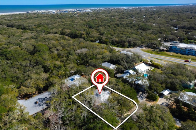 1440 Corunna St, Saint Augustine, FL 32080 - drone / aerial view with a wooded view and a water view