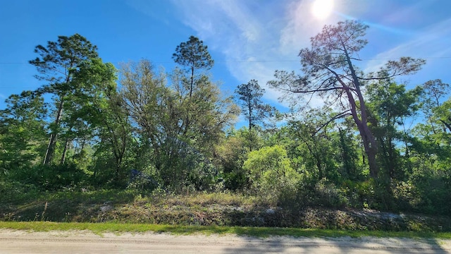 10640 Weatherby Ave, Hastings FL, 32145 land for sale