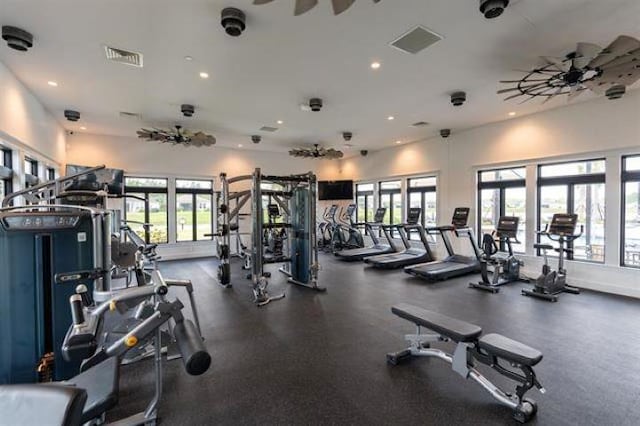 gym featuring ceiling fan and a wealth of natural light