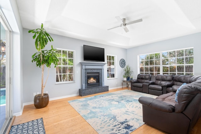 living room featuring hardwood / wood-style floors, a premium fireplace, a raised ceiling, and ceiling fan