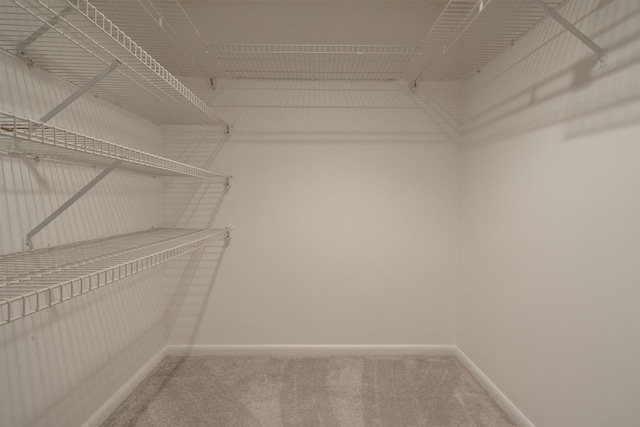 walk in closet with carpet