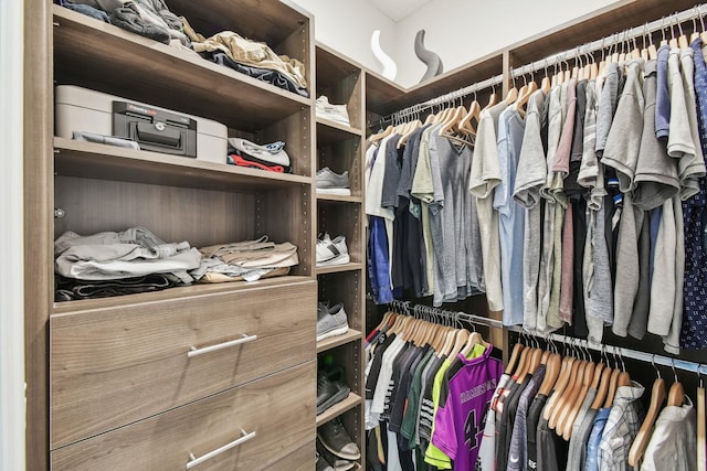 view of spacious closet