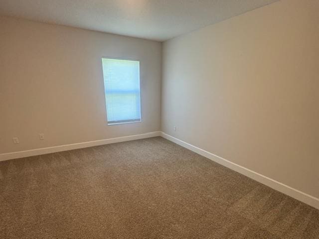 empty room featuring carpet