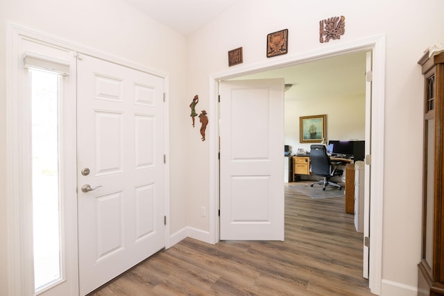 entryway featuring hardwood / wood-style floors