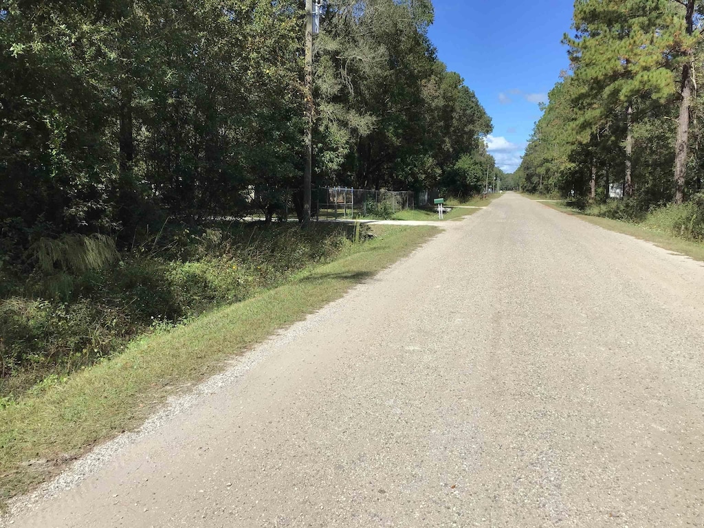 Quinn Ave, Hastings, FL 32145