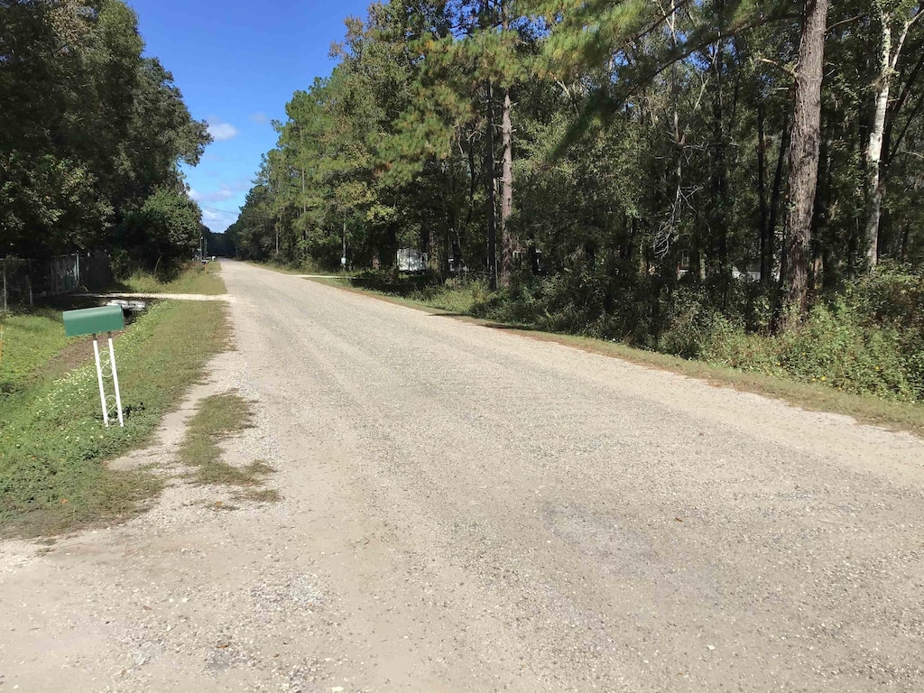 Quinn Ave, Hastings, FL 32145