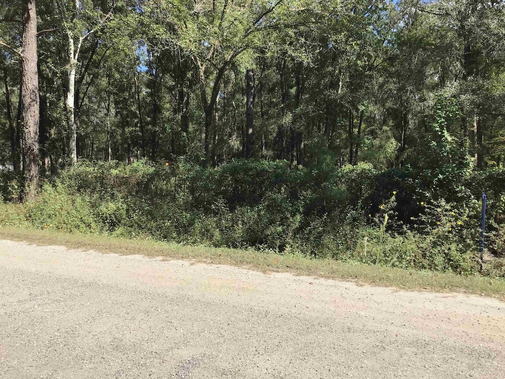 Quinn Ave, Hastings, FL 32145