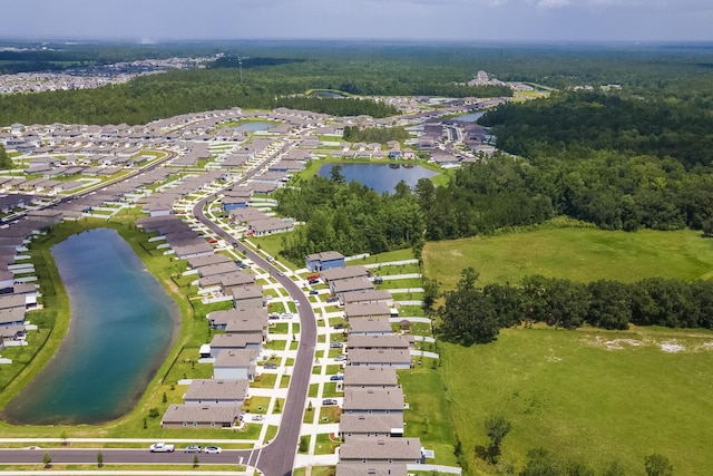 2730 Oak Stream Dr, Green Cove Springs, FL 32043 - aerial view of residential area with a nearby body of water and a forest