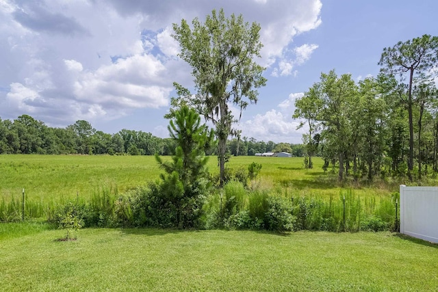 2730 Oak Stream Dr, Green Cove Springs, FL 32043 - view of grassy yard