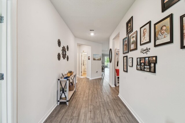 182 Myrtle Oak Ct, Saint Augustine, FL 32092 - hall featuring wood finished floors and baseboards