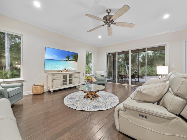 living room featuring dark hardwood / wood-style floors, ceiling fan, and a healthy amount of sunlight