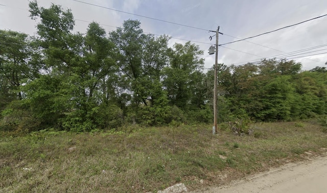 145 Possum Walk Rd, Satsuma, FL 32189