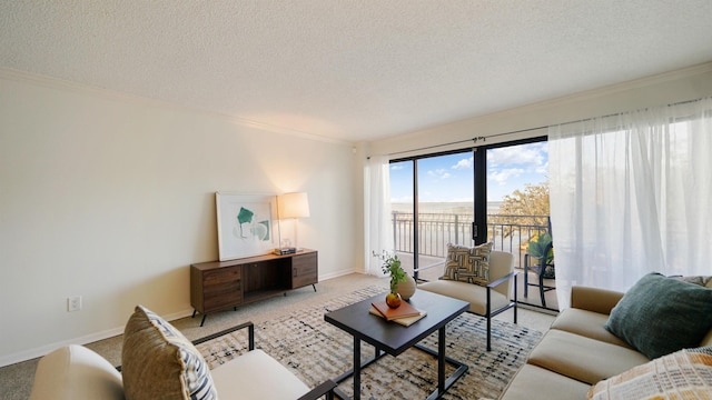 living room featuring crown molding, light colored carpet, and a textured ceiling