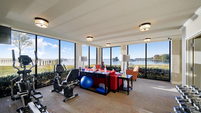 exercise room featuring carpet flooring, a water view, and crown molding