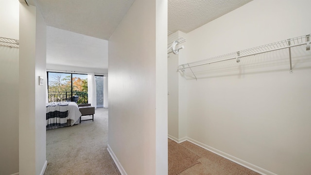 corridor with light colored carpet