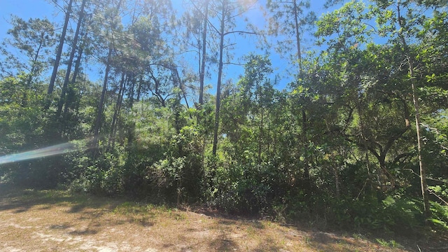 329 Palm Way, Georgetown FL, 32139 land for sale