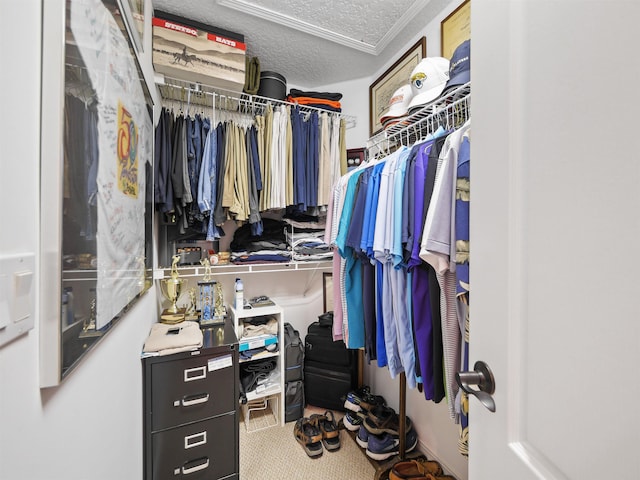 view of spacious closet