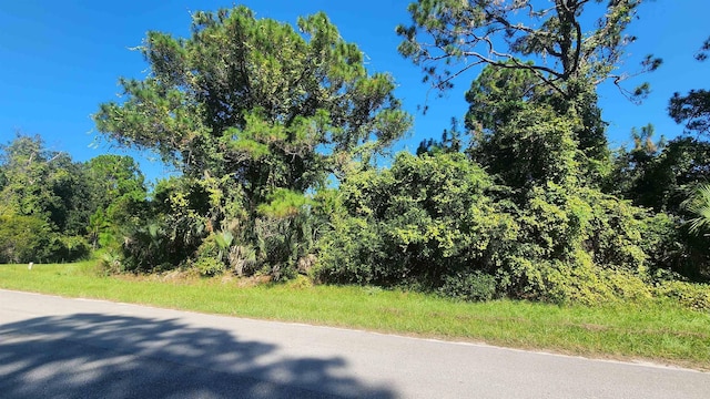 Gardenia Ave, Georgetown FL, 32139 land for sale