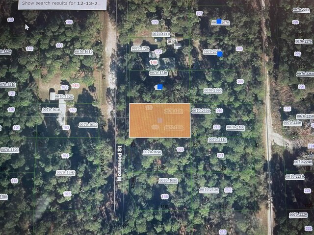 144 Mosswood St, Georgetown FL, 32139 land for sale