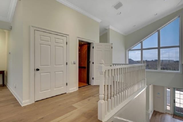 hall featuring light hardwood / wood-style floors and crown molding