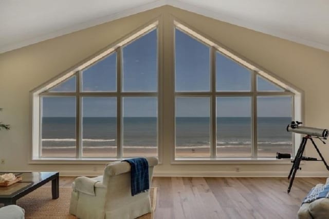 bonus room with light hardwood / wood-style flooring, a water view, and a healthy amount of sunlight