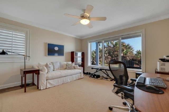 office space with carpet flooring, ceiling fan, and ornamental molding