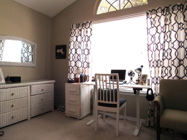 28212 Harbour Vista Cir, Saint Augustine, FL 32080 - office space with healthy amount of natural light, lofted ceiling, and carpet floors