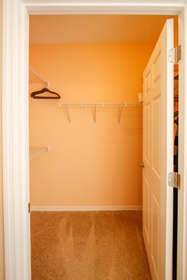35103 Harbour Vista Cir, Saint Augustine, FL 32080 - walk in closet with carpet flooring