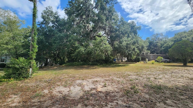 124 Ann St, Hawthorne FL, 32640 land for sale