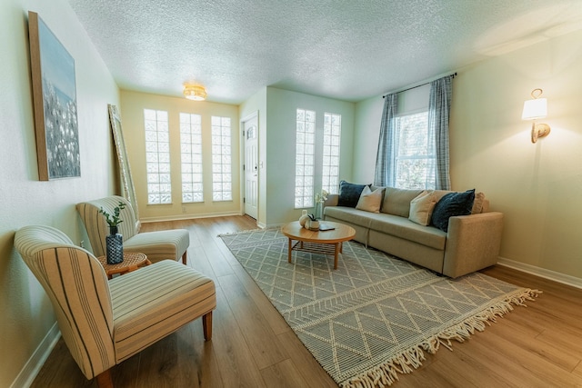 living room featuring wood finished floors, baseboards, and a textured ceiling