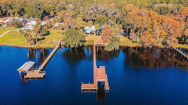 dock area featuring a water view and a view of trees