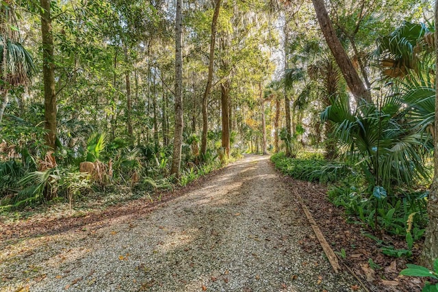 view of street with a wooded view