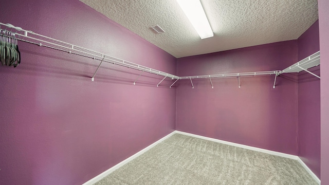 walk in closet with carpet